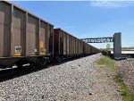 SCWX 07403